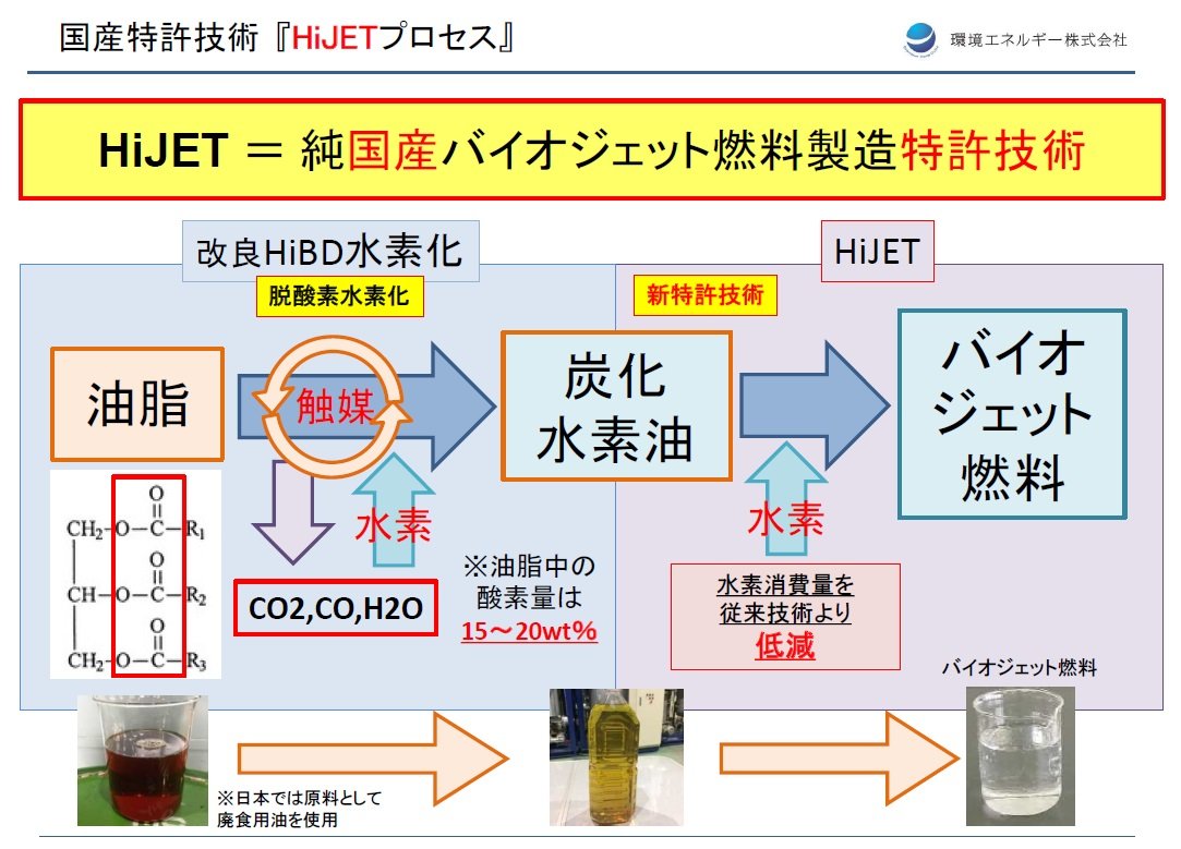 日本相撲協会 グルメ